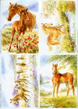 5er SET vier Grundbilder "Pferde"