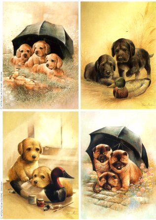 5er SET vier Grundbilder "Hunde"