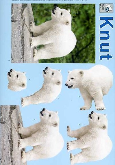 3-D Schneidebogen Knut der Eisbär 03 sofort lieferbar
