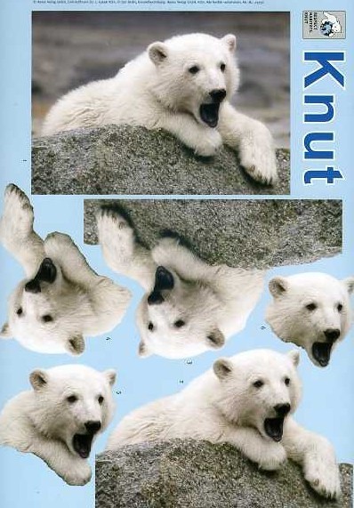 3-D Schneidebogen Knut der Eisbär