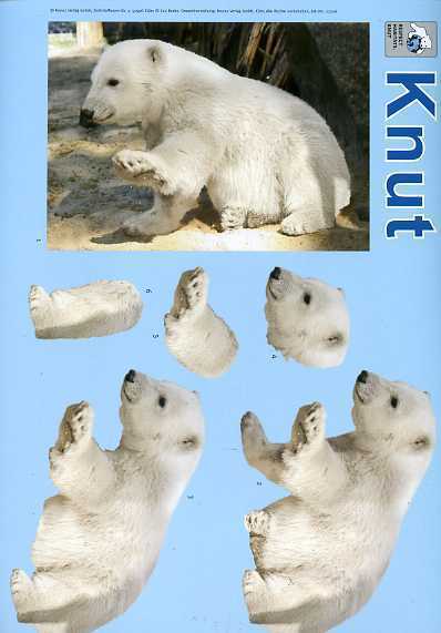 3-D Schneidebogen Knut der Eisbär 07 sofort lieferbar