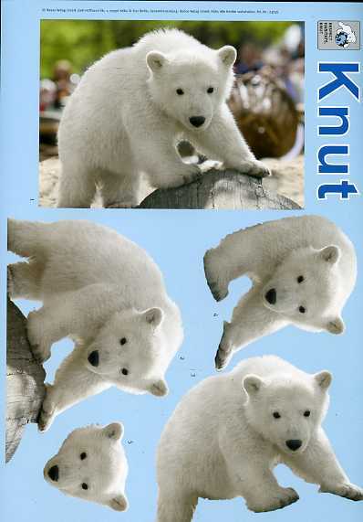 3-D Schneidebogen Knut der Eisbär 08 sofort lieferbar