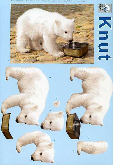 3-D Schneidebogen Knut der Eisbär 10 sofort lieferbar