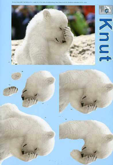 3-D Schneidebogen "Knut der Eisbär"