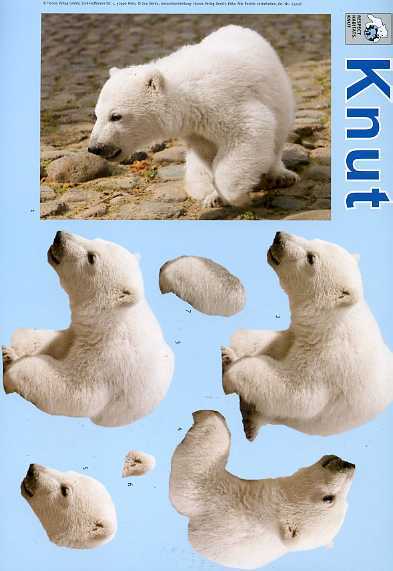 3-D Schneidebogen "Knut der Eisbär"