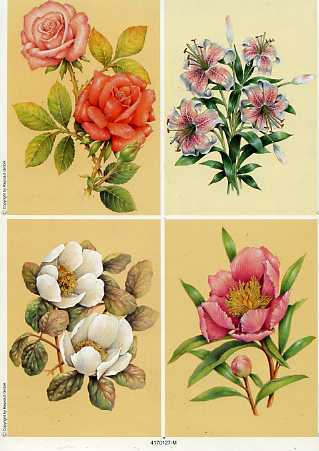 5er SET vier Grundbilder "Blumen"