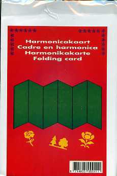 5 Stück Harmonikakarte, grün 15,5 x 66 cm + 5 Umschlag, weiß