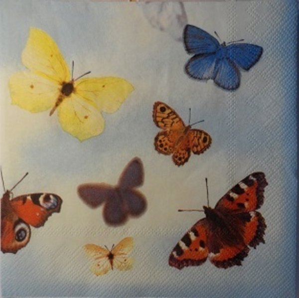 4 Servietten Schmetterlinge sofort lieferbar