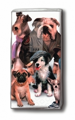 10 Taschentücher Dressed dogs