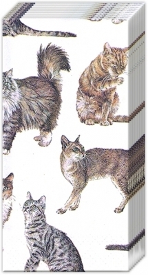 10 Taschentücher MY FAVORITE CAT - Katzen