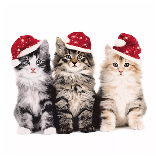 ♥ Serviette weihnachtliche Katzen L0506 sofort lieferbar